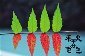 今日立秋‖深聯線路板告訴你秋天的那點事