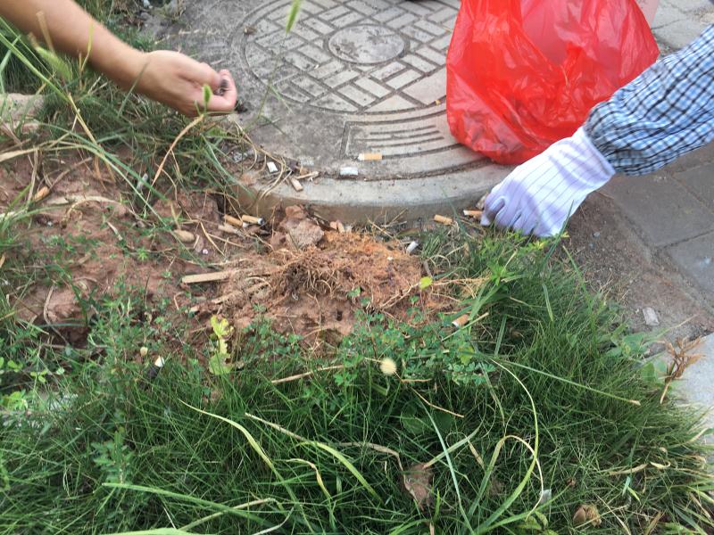 深聯(lián)PCB廠號召大家不要隨手丟垃圾，共同盡力守護我們的家園