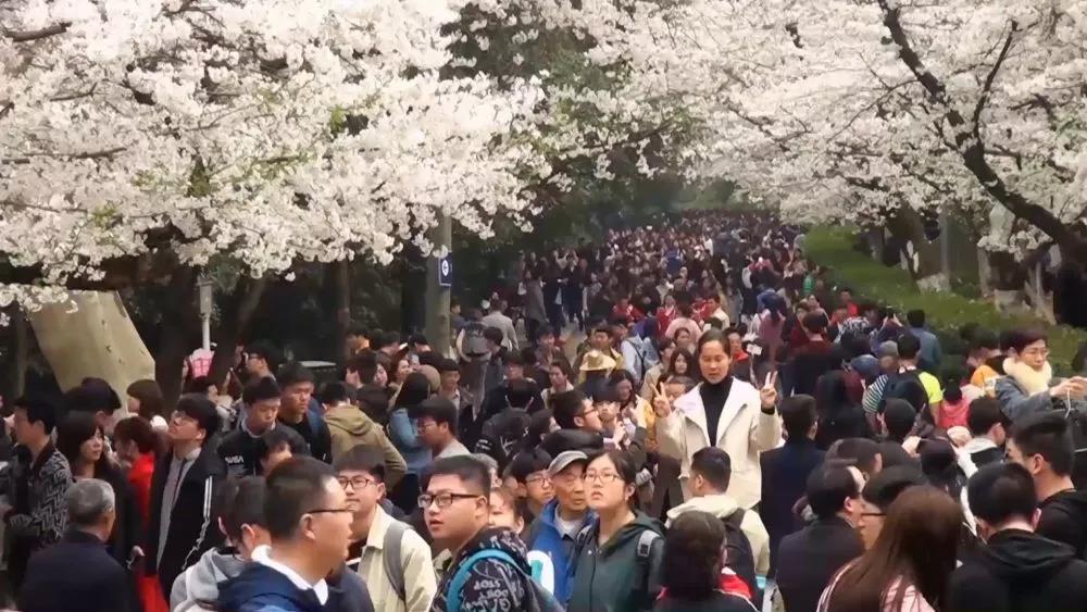 微信圖片_20200212172005.jpg