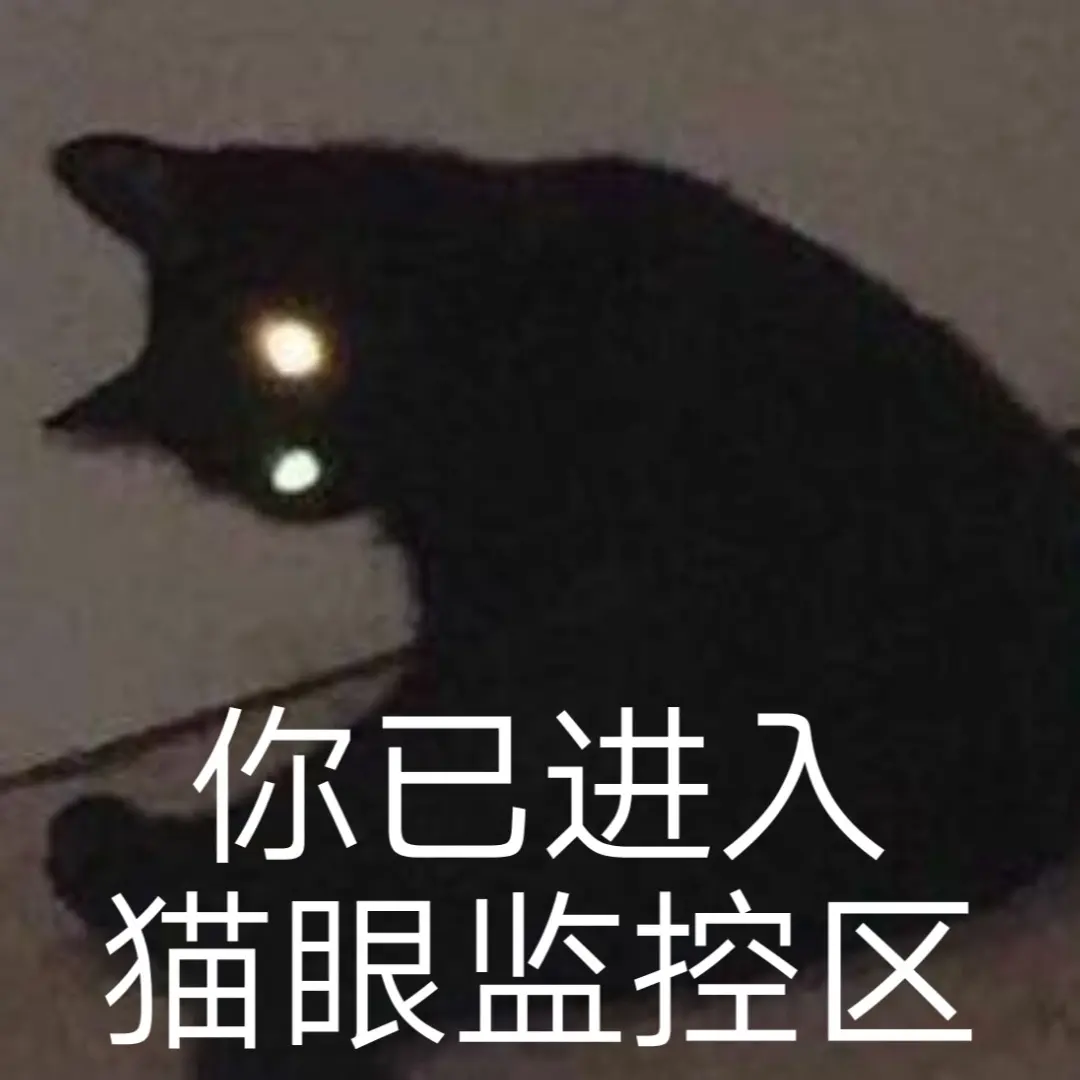 1669369420244.jpg