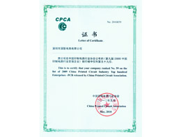 2009年度印制電路行業百強排名（CPCA）-2010